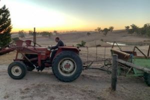 chaffey-bros-tractor.jpg