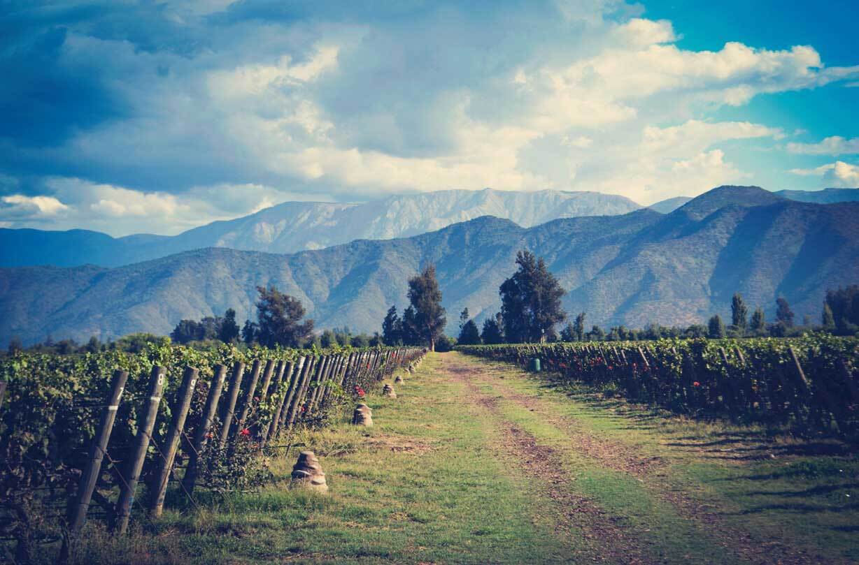De Martino, Isla de Maipo