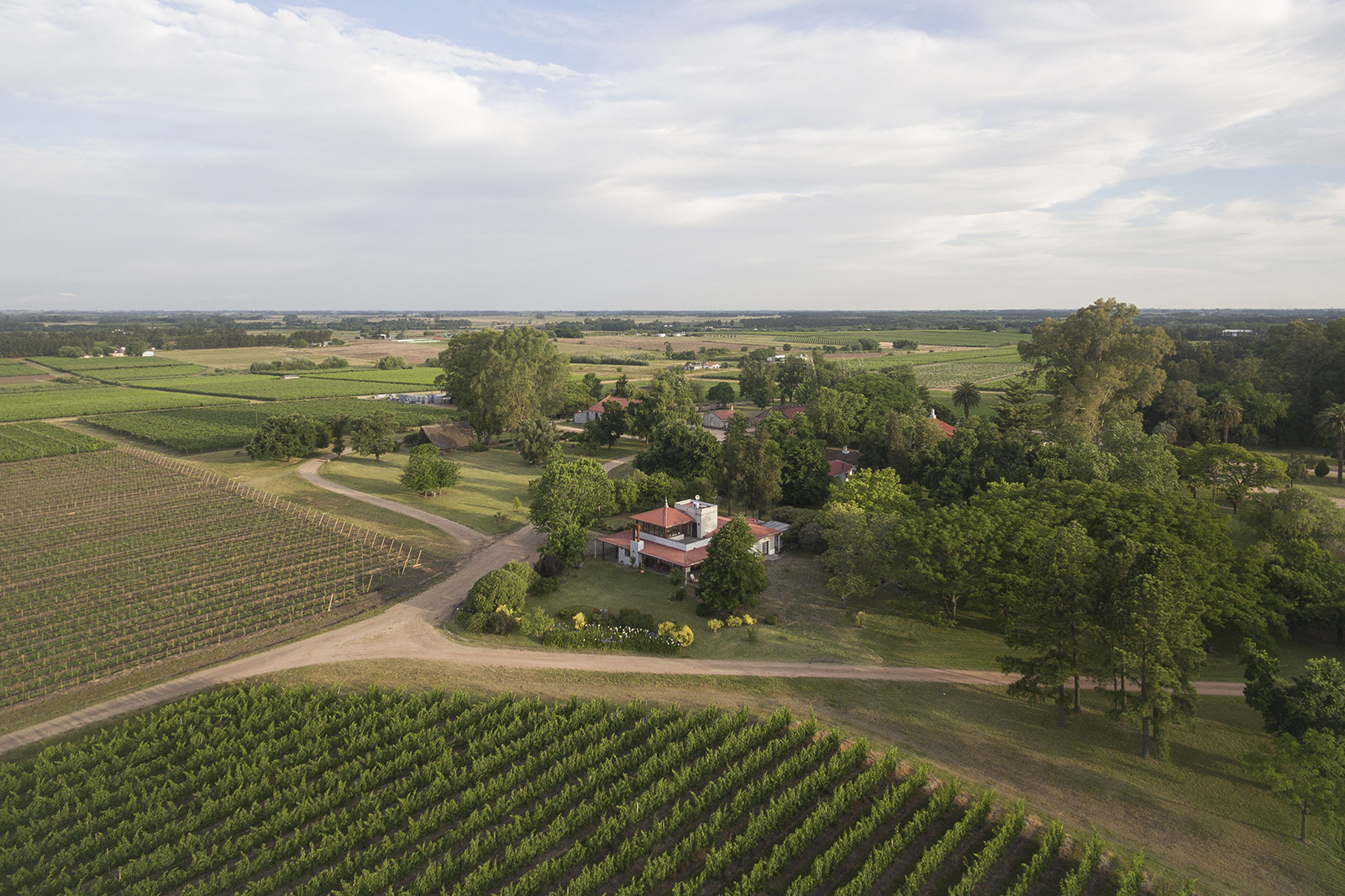 Deicas winery