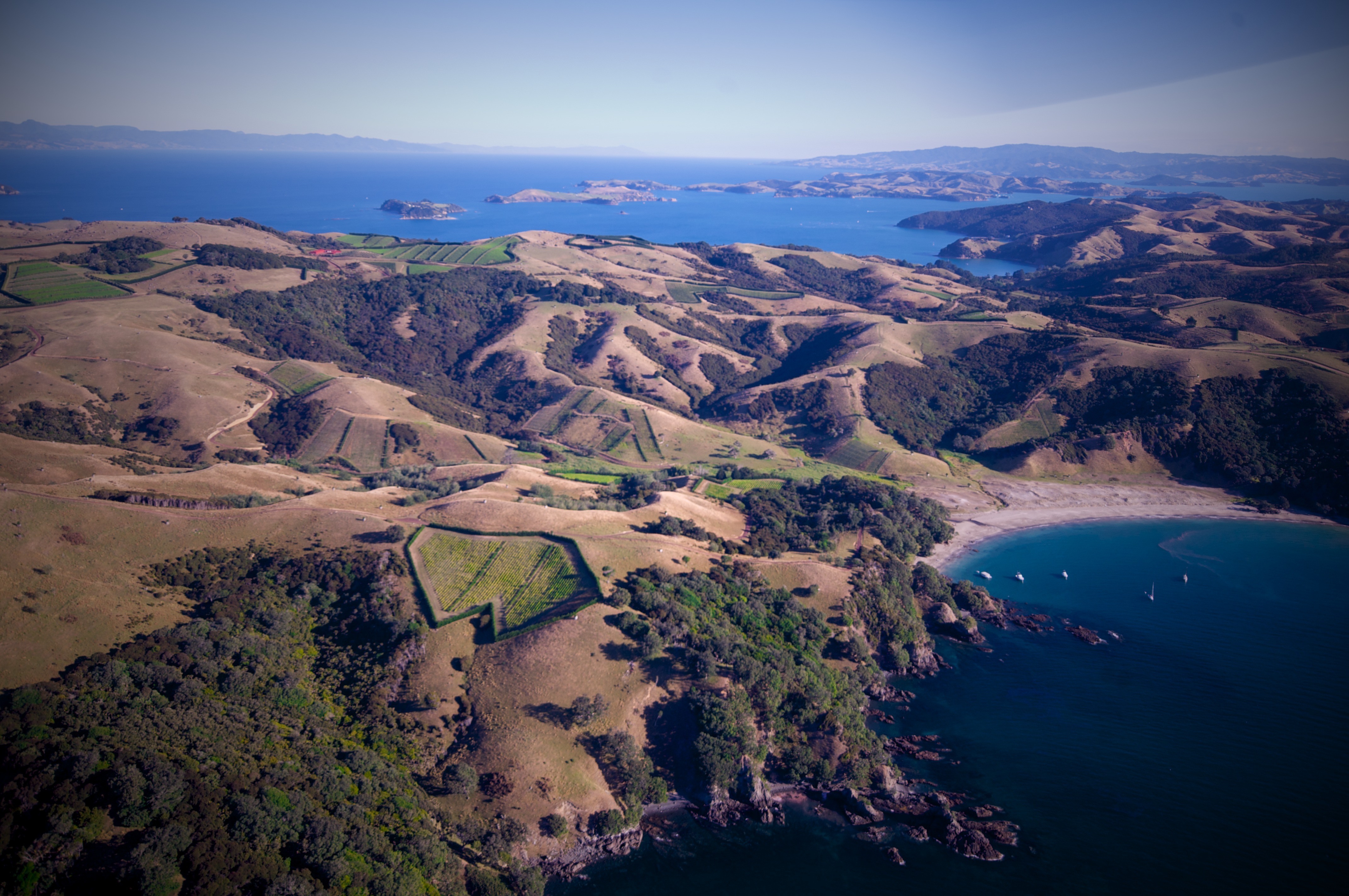 Waiheke Island