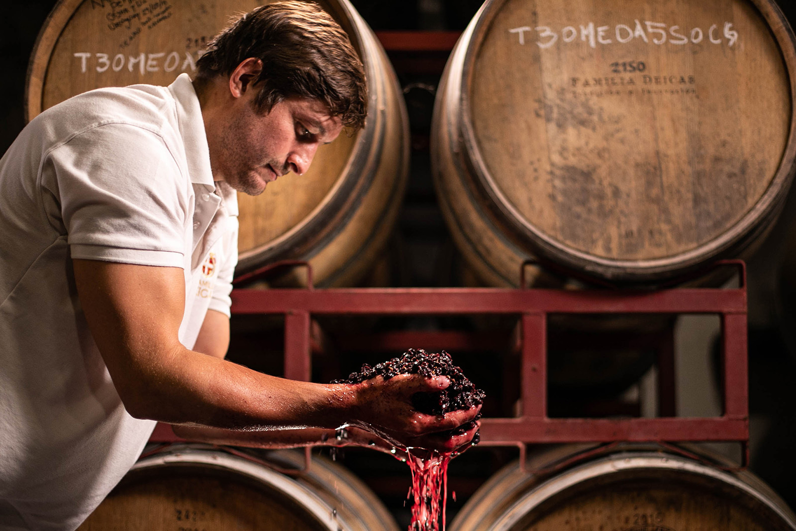 Santiago Deicas, winemaker