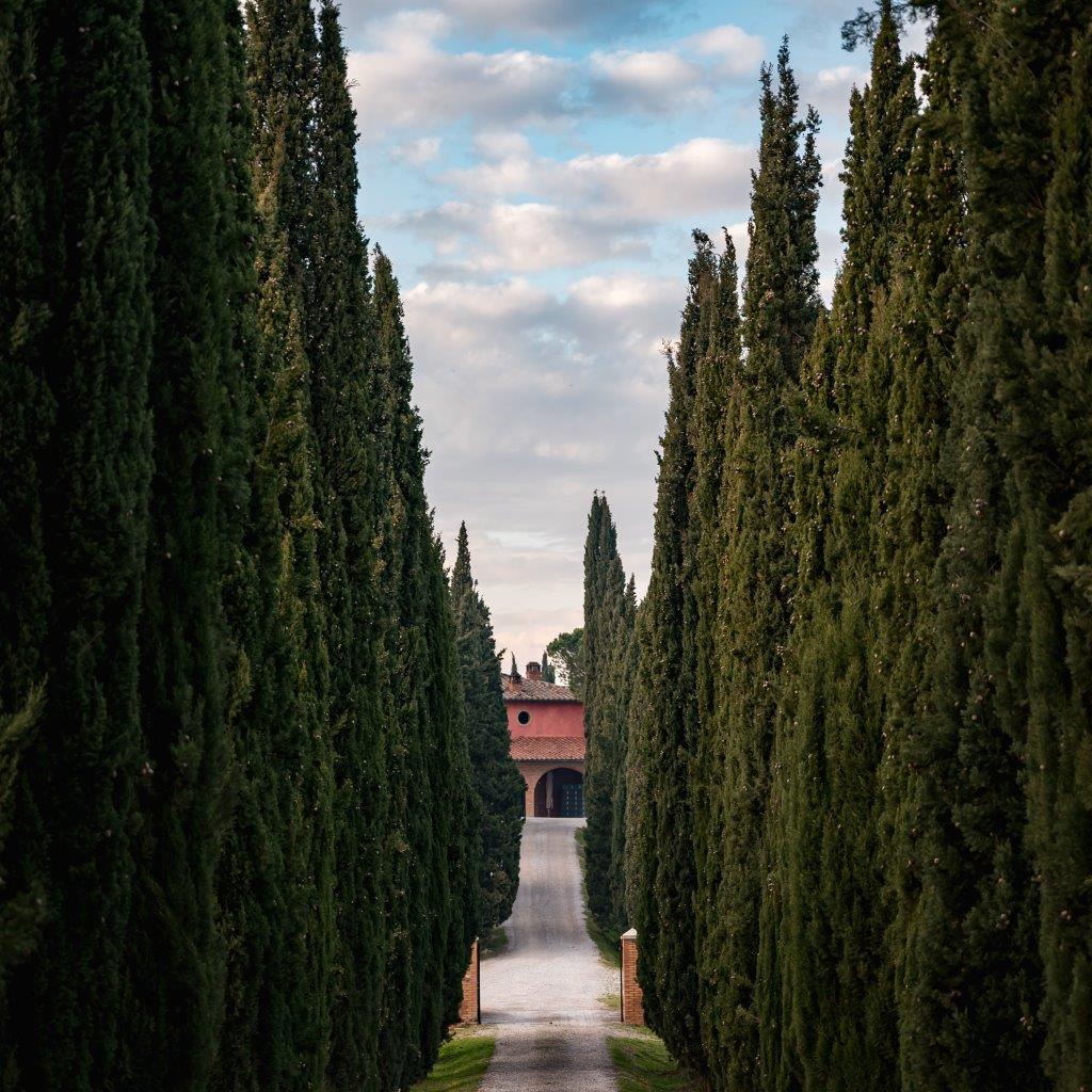 Poliziano in the distance